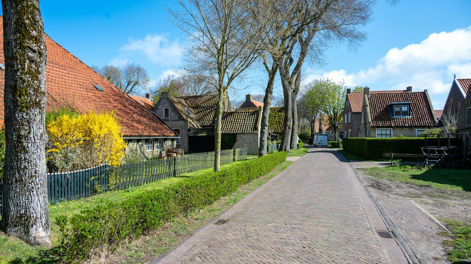 AI voor de Kempen: zo zetten lokale MKB-bedrijven het in